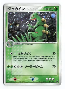 Sceptile 003/055 Expansion Pack Unlimited Holo 2003 Japanese Pokemon TCG HP/DMG - Image 2
