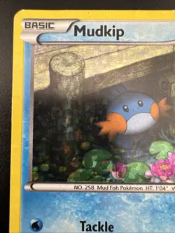 Mudkip 5/12 Pokemon XY McDonalds Holo Promo HP - Image 4
