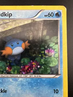 Mudkip 5/12 Pokemon XY McDonalds Holo Promo HP - Image 5