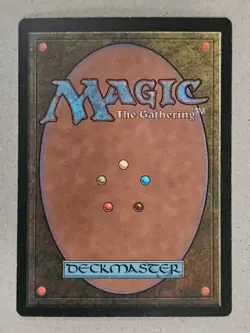 Adarkar Wastes - 5th Edition - Near Mint | MTG - Image 2