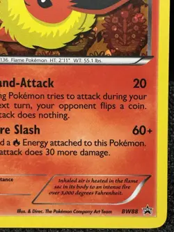 Pokemon TCG Flareon Black & White Black Star Promo Holo BW88 NM - Image 5