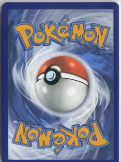 SWSH: Sword & Shield Promo Cards #SWSH291 Lucario VSTAR - Image 2