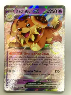 Dachsbun EX 067/142 S&V Stellar Crown Holo Double Rare Pokemon Card - Image 1