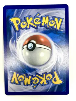 Dachsbun EX 067/142 S&V Stellar Crown Holo Double Rare Pokemon Card - Image 2