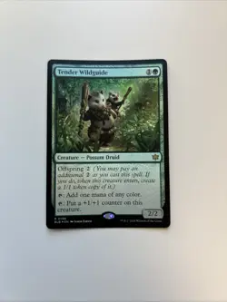 Tender Wildguide Bloomburrow Foil - Image 1