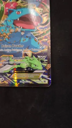 Pokemon Venusaur EX XY123 Black Star Promo - Image 2