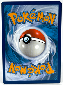 CINDERACE Rare Holo Sword Shield Chilling Reign 28/198 Pokemon - Image 3