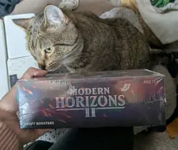 MTG: Modern Horizons 2 FACTORY SEALED - 36 Packs - Chase Draft Booster Box!! - Image 3