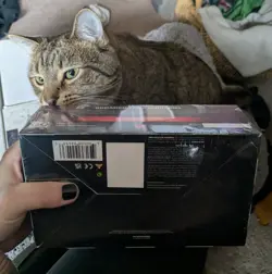 MTG: Modern Horizons 2 FACTORY SEALED - 36 Packs - Chase Draft Booster Box!! - Image 5