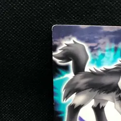 Mightyena Pokemon Zukan Card Japanese No.067 Rare Nintendo From Japan JP F/S - Image 5