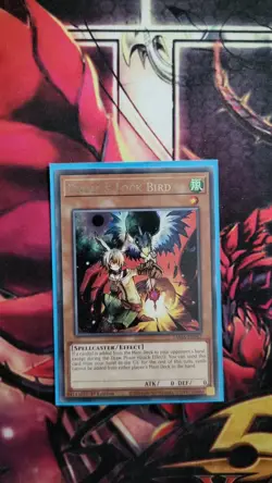 TAMA-EN047 DROLL & LOCK BIRD RARE 1ST EDITION YuGiOh CARD - Image 1