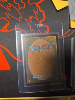 Doubling Season 0011 BORDERLESS Teenage Mutant Ninja Turtles Source Material Reg - Image 2