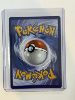 Mightyena 243/217 Ascended Heroes Illustration Rare NM Pokemon Cards - Image 2