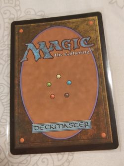 Magic the Gathering Final Fantasy Wakka, Devoted Guardian Chocobo Track Foil EN - Image 2