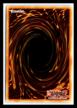 Favorite Contact - POTE-EN069 - Ultra Rare - 1st Edition Yugioh - Image 2