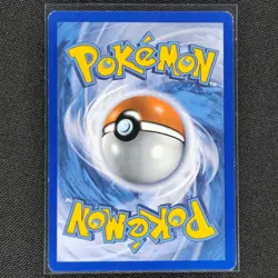 Yveltal EX - 79/146 - Holo Rare - XY Base Set - Pokemon Card - VLP - Image 2