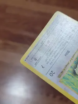 Raticate 1st Edition Base Set Shadowless 40/102 Pokemon - PL - Image 3