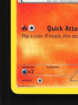 Torchic 12/111 HP Furious Fists English Pokemon Card TCG - Image 2