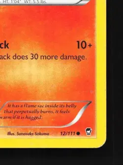 Torchic 12/111 HP Furious Fists English Pokemon Card TCG - Image 3