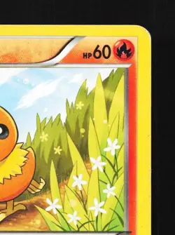 Torchic 12/111 HP Furious Fists English Pokemon Card TCG - Image 5
