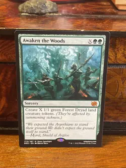 Awaken the Woods The Brothers' War Regular M/NM - Image 1