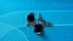 Radiant Eevee - Pokemon GO TCG - Pin Badge - New - Image 2