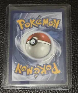 Pokemon TCG 30th Anniversary First Partner Black Star Promo Chimchar 041 - Image 2