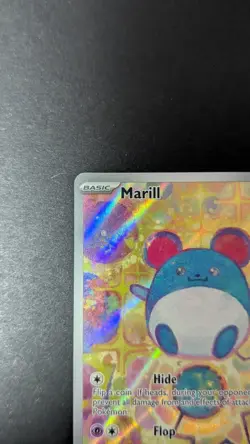 Marill 232/217 Ascended Heroes Illustration Rare Holo Pokemon TCG English - Image 5