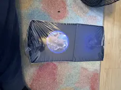 Pokemon Center Elite Trainer Box Plus Mewtwo Special Edition Sealed - Image 4