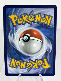 Squirtle 148/142 - Stellar Crown - Illustration Rare - Pokemon - NM - Image 2