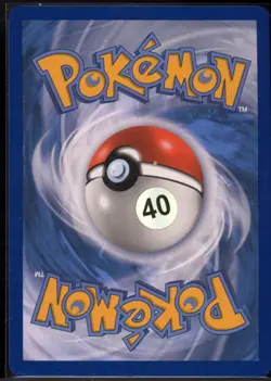 Squirtle 17/25 Holo McDonald's Collection 2021 Pokemon NM - Image 3