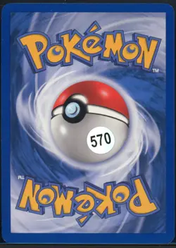 Dark Raticate 17/109 Rare Team Rocket Returns Pokemon NM - Image 3