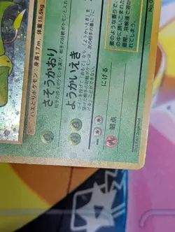Victreebel No. 071 Jungle Holo Rare Japanese Pokemon Card WOTC - Image 5
