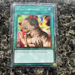 Yu-Gi-Oh! Metamorphosis RA04-EN123 Platinum Secret Rare - Image 1