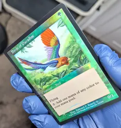 MTG 7th Edition Foil Birds of Paradise (Card C) - Image 3