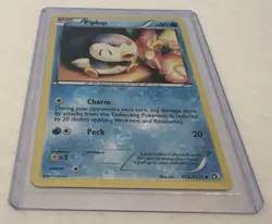 Piplup RC6/RC25 Legendary Treasures: Radiant Collection Pokemon LP Holo - Image 2