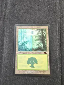 Magic: The Gathering Guru Forest - Image 1