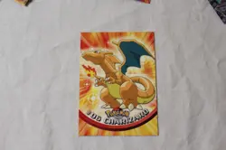 Pokemon TV Animation Collector Card Lot of 62 Includes Foil #6 Charizard in NRMT - Image 4