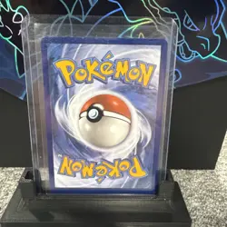 Poochyena GG33/GG70 Crown Zenith: Galarian Gallery Holo Near Mint Pokemon TCG - Image 2