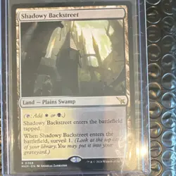 Magic: The Gathering Shadowy Backstreet Murders at Karlov Manor Rare Land 268 - Image 1