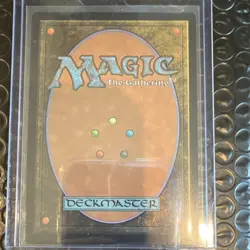 Magic: The Gathering Shadowy Backstreet Murders at Karlov Manor Rare Land 268 - Image 2