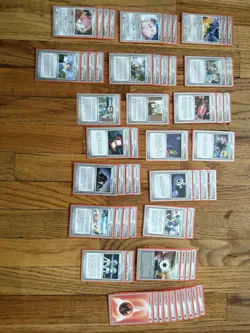 Complete 60 Card Paul Atanassov Bliss Control 2008 World Championship Deck - Image 1