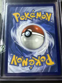 Wally's Compassion 186/132 SIR, Mega Evolution, Full Art Holo, Pokemon TCG, NM - Image 2