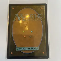 MTG: Spider-Man - Multiversal Passage(Extended Art) - Rare - 0206 NM - Image 2