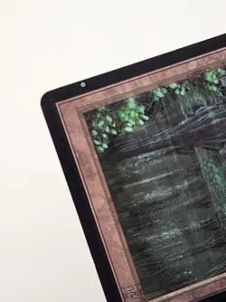 Magic The Gathering - MTG - Bayou - Collectors' Edition - Clipped DMG - Image 5