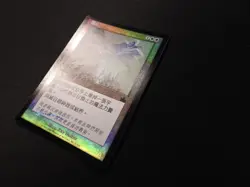 Abolish Chinese FOIL MP [Prophecy] Mtg Magic Free Tracking! - Image 2