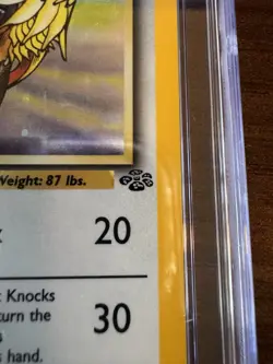 1999 Pokemon Jungle Pidgeot 1st Edition Holo CGC 8.5 NM/MINT+ #8 WOTC Vintage - Image 3