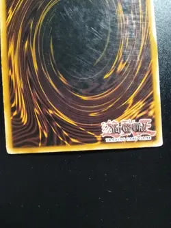 One Day Of Peace | PHSW-EN060 | Common | 1st Edition | YuGiOh Card | - Image 3