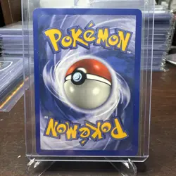 Phanpy 62/109 - EX Ruby & Sapphire Set, Reverse Holo Pokemon Card NM - Image 2