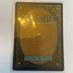 MTG: Spider-Man - Spider-Punk(Extended Art) - Rare - 0207 NM - Image 2